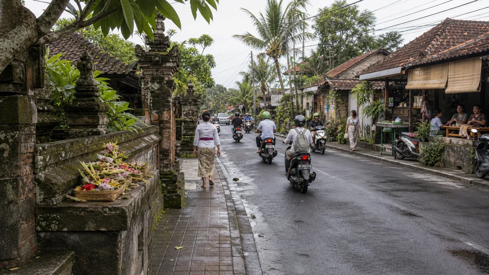 Rice terraces and palm trees in Bali