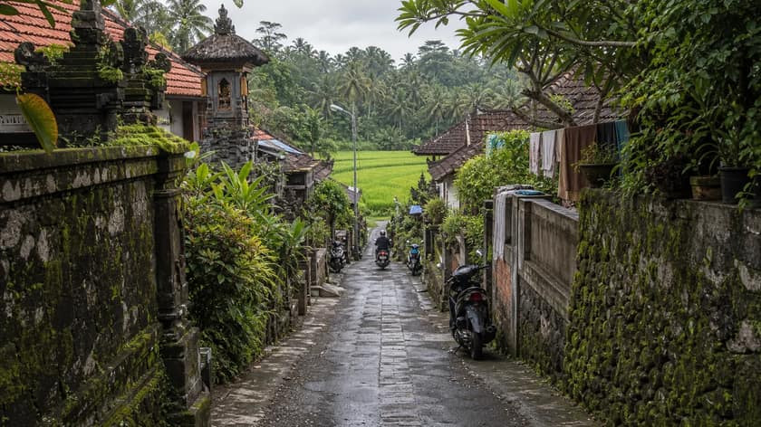 Rice terraces near Ubud in Bali